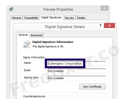 Screenshot of the Cybergenic Corporation certificate